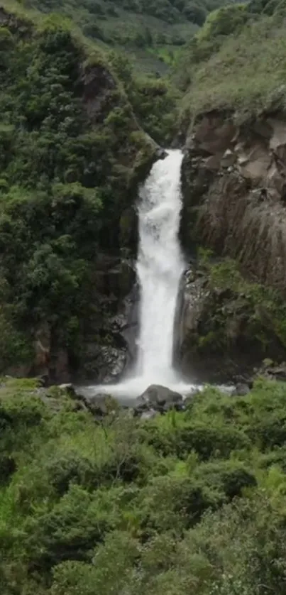 Serene waterfall in a lush green forest setting