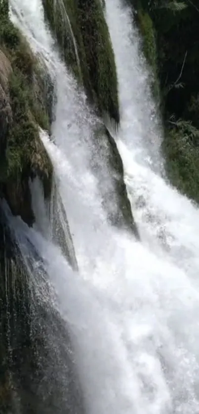 Water Waterfall Landscape Live Wallpaper