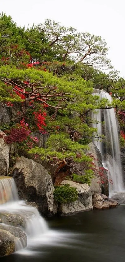 Water Waterfall Plant Live Wallpaper