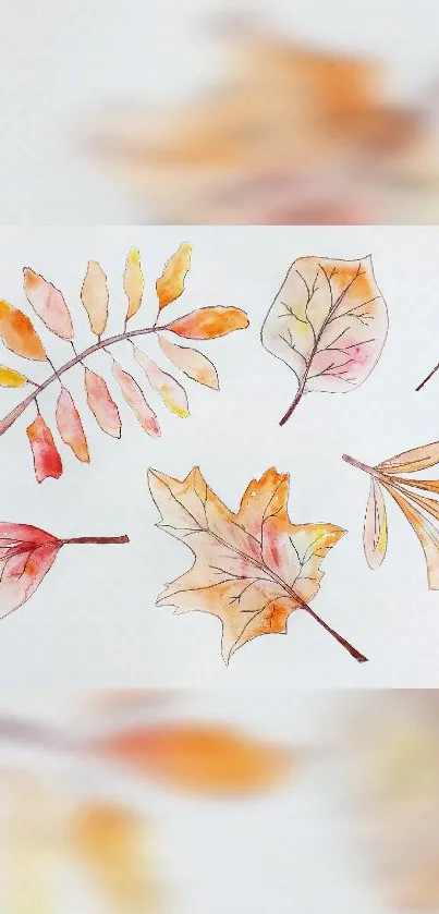 Watercolor autumn leaves wallpaper design with soft orange hues.