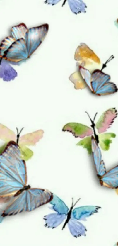 Colorful watercolor butterflies on white background wallpaper.