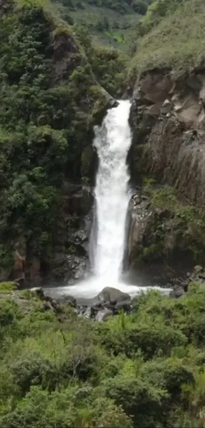 Waterfall cascading down forested cliffs.