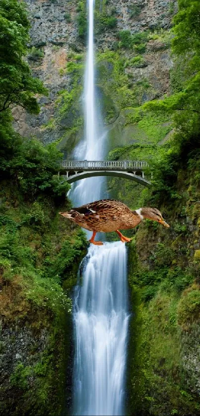 Mobile wallpaper of a duck flying over a majestic waterfall and lush green forest.