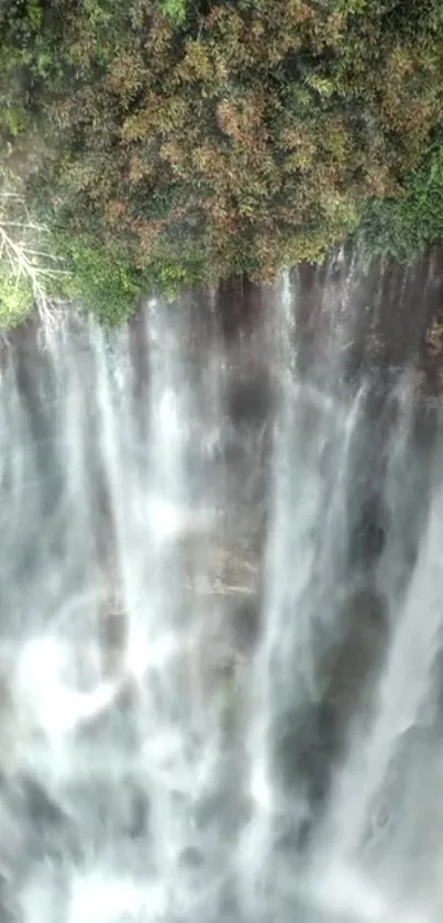 Serene waterfall cascading over rocks with lush green forest above.