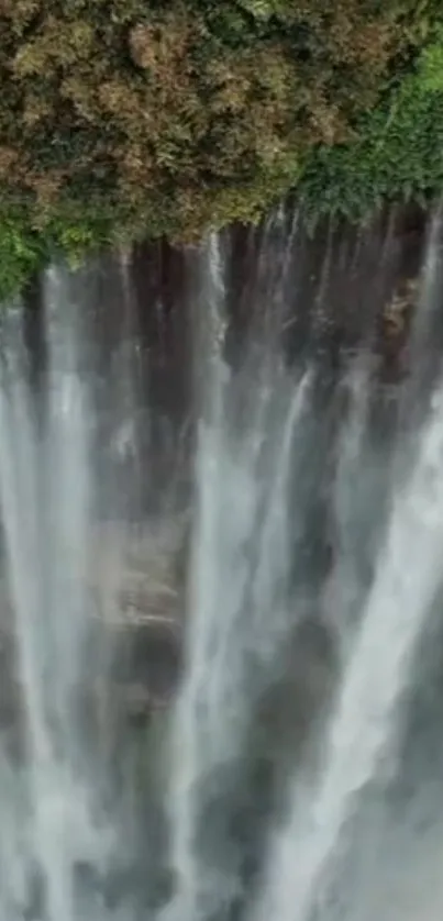 Majestic waterfall cascading over lush green forest background.