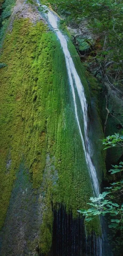 Lush green waterfall mobile wallpaper, serene and natural.