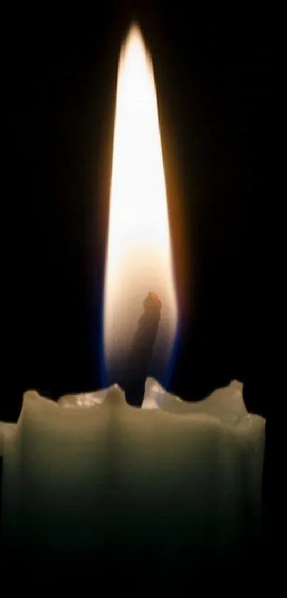 Wax Candle Flame Live Wallpaper