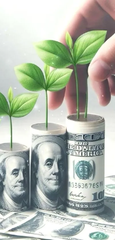 Dollar bills sprouting leaves symbolizing growth.