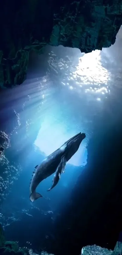 A majestic whale swims in a luminous ocean cave.