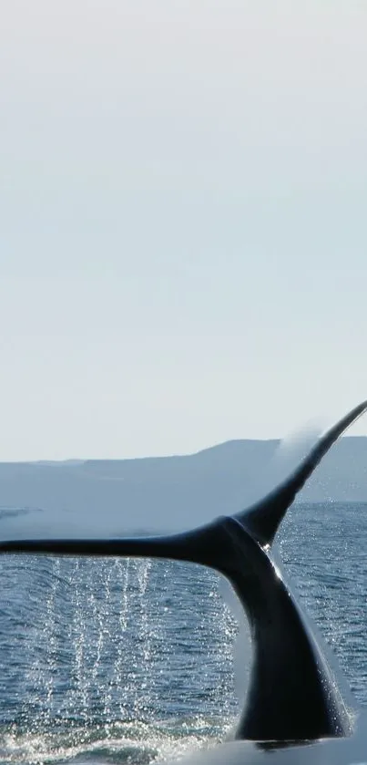 Whale tail emerging from ocean water with a light blue sky background.