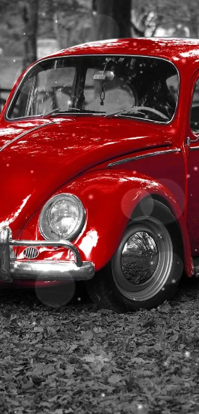 Car Live Wallpaper