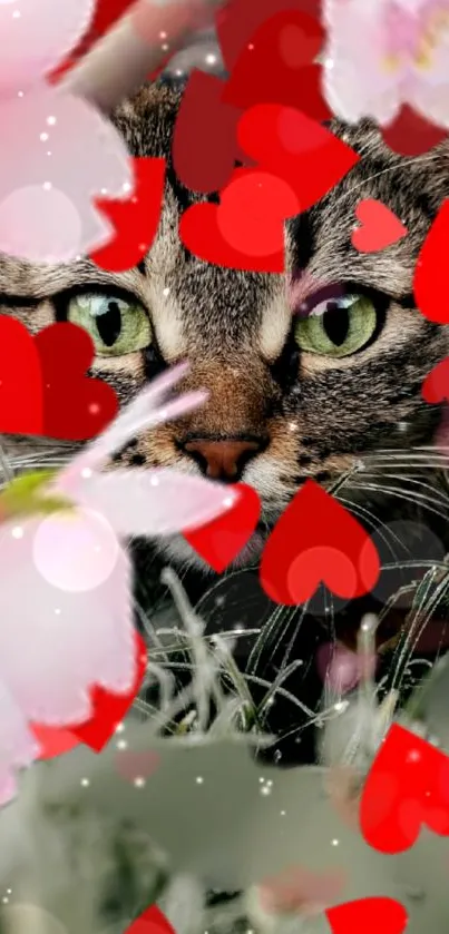 Cat with red hearts and pink flowers wallpaper.