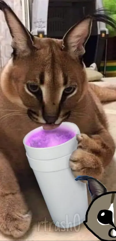 Caracal sipping drink with cartoon and 'floppa juice' bottle.