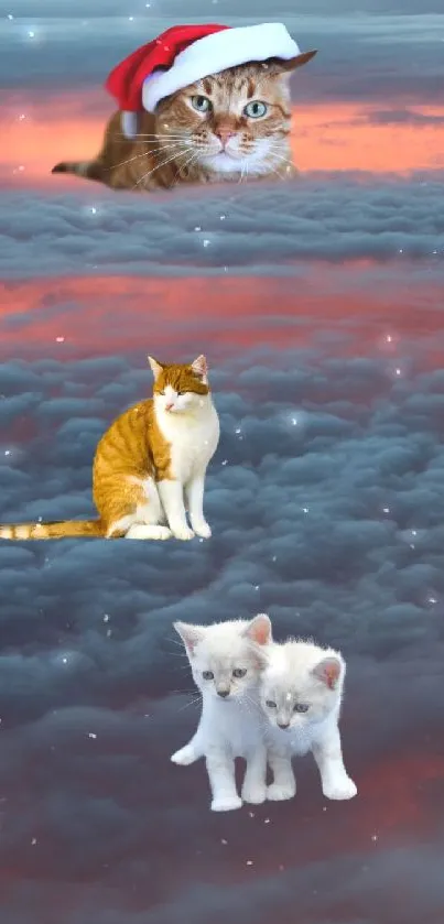 Cats wearing hats sit on clouds against a sunset sky.