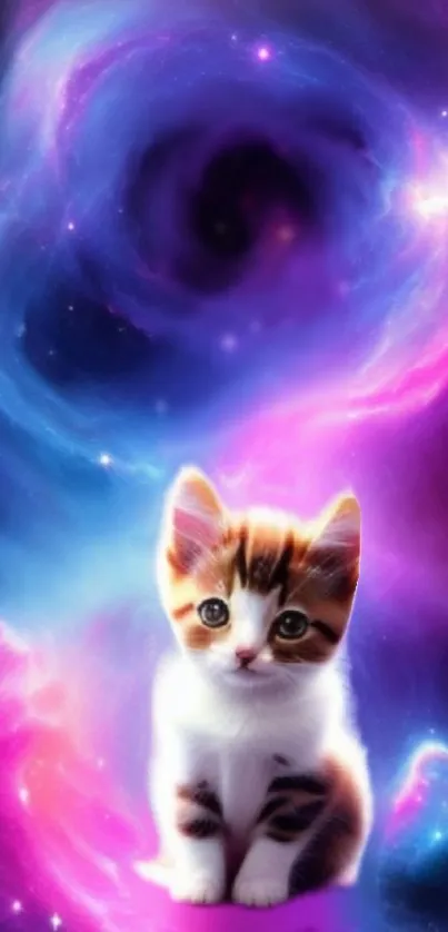 A cute kitten in a vibrant cosmic purple and blue galaxy swirl wallpaper.