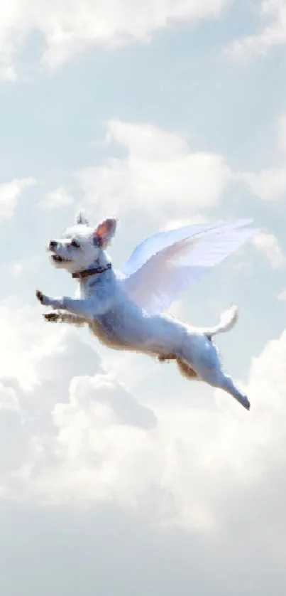 Whimsical image of a flying dog with wings in a cloudy blue sky.