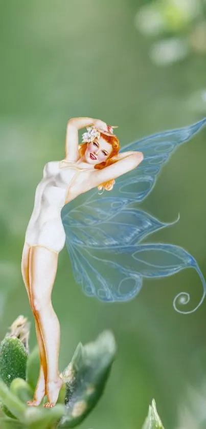 Whimsical fairy with delicate wings on a green background.