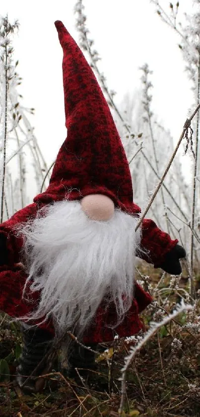 Gnome with red hat and beard in a winter scene.