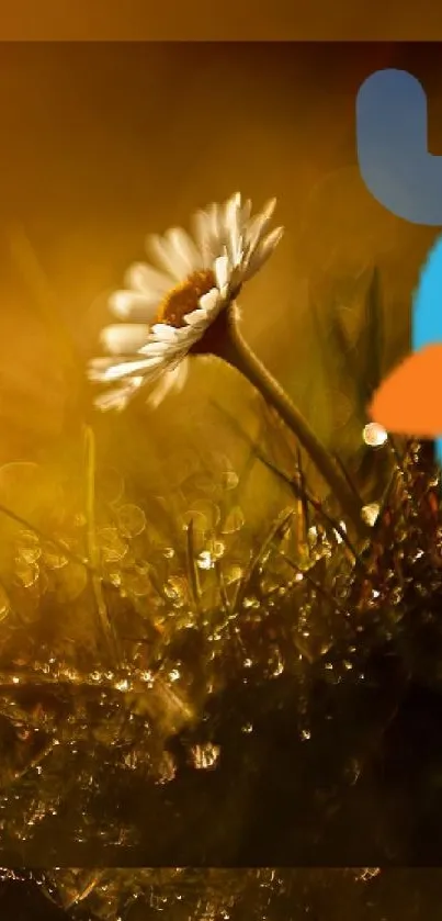 Whimsical snowman and bird in a daisy sunlit field wallpaper.
