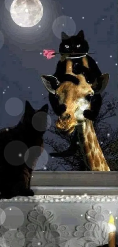 Black cat and giraffe by moonlit window.