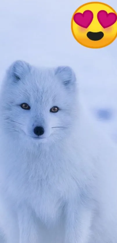 Adorable white Arctic fox on snow background with hearts emoji.