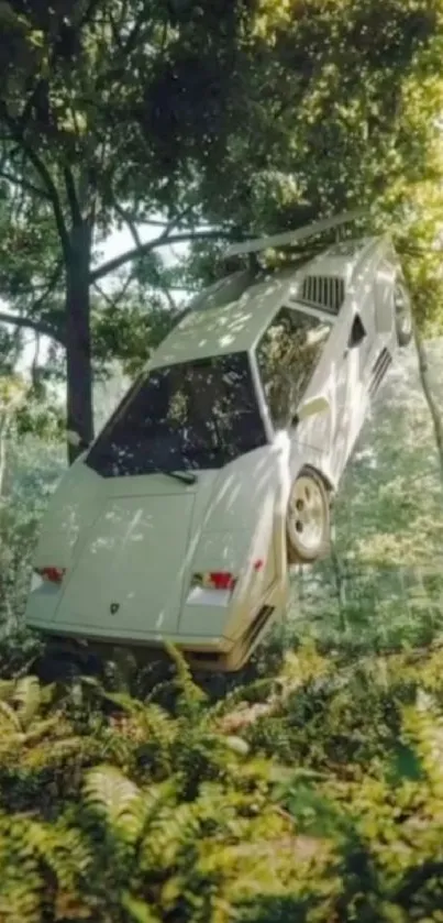 White classic car hanging in lush forest scene.