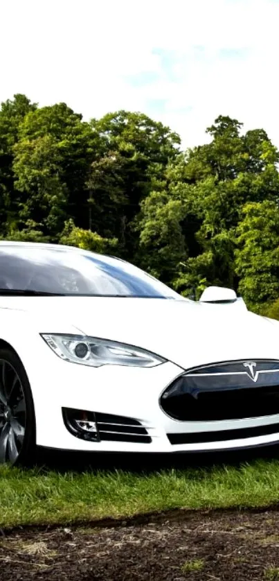 White car parked in a lush green forest scene, ideal for mobile wallpaper.