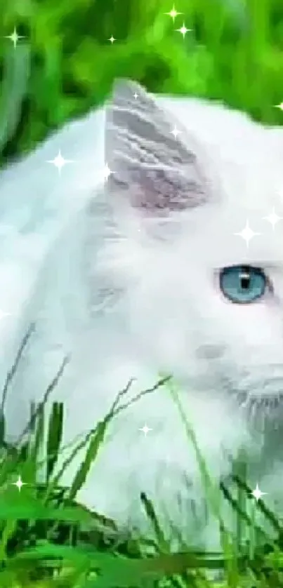 White cat with blue eyes lying in vibrant green grass.