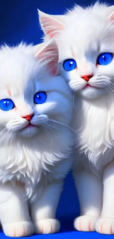 Two fluffy white cats with striking blue eyes sitting together.