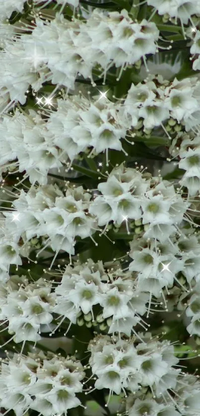 Close-up of intricate white flowers in a nature-themed wallpaper design.