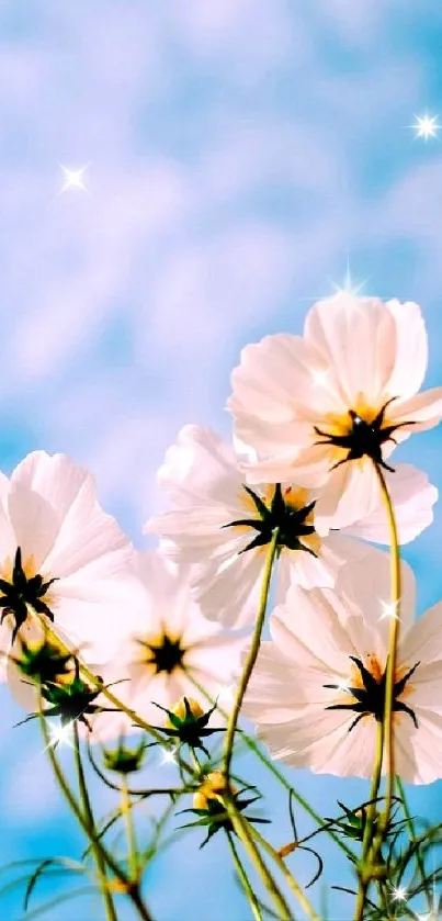 White flowers against a clear blue sky, capturing nature's serene beauty.