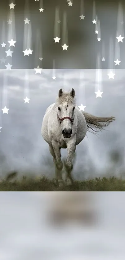 Majestic white horse with starry sky on mobile wallpaper.