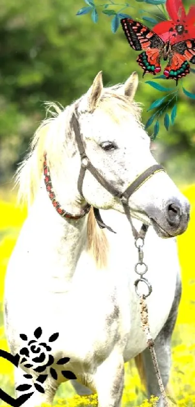 White horse in a yellow field with a butterfly above.