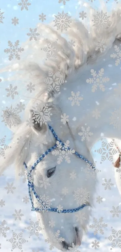 White horse with blue bridle and snowflakes in winter scene.