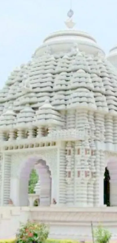 White temple with intricate architecture and serene surroundings.