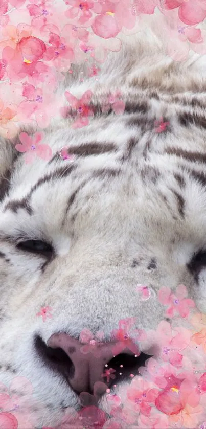 White tiger amidst pink blossoms on a mobile wallpaper.