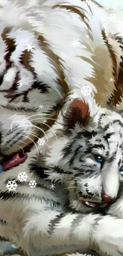 White tigers resting in a snowy landscape wallpaper.