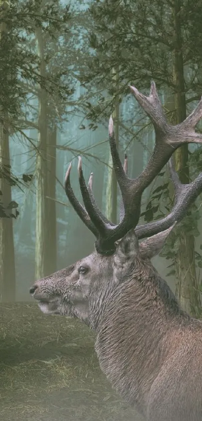 Deer in a misty green forest with trees and a wolf in the background.