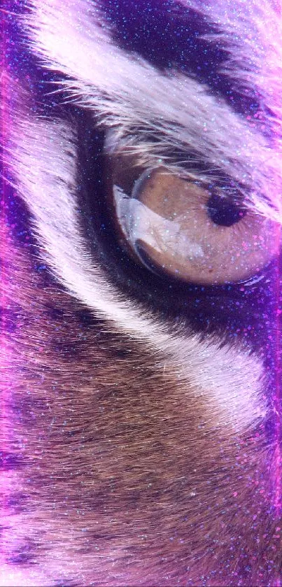 Close-up of a tiger's eye with cosmic purple accents in vibrant detail.