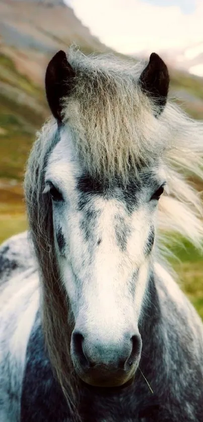 A majestic gray horse stands in a lush mountainous landscape under a blue sky.