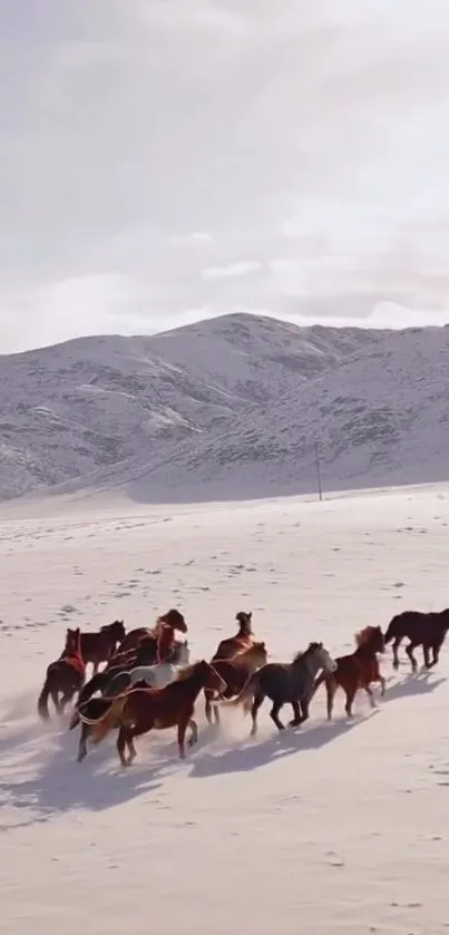 Wild horses running on snowy mountain landscape.