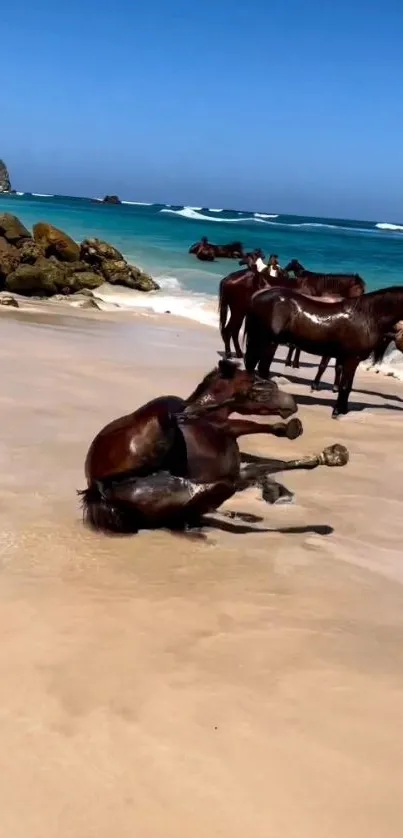 Wild horses on a serene beach with blue ocean waves.