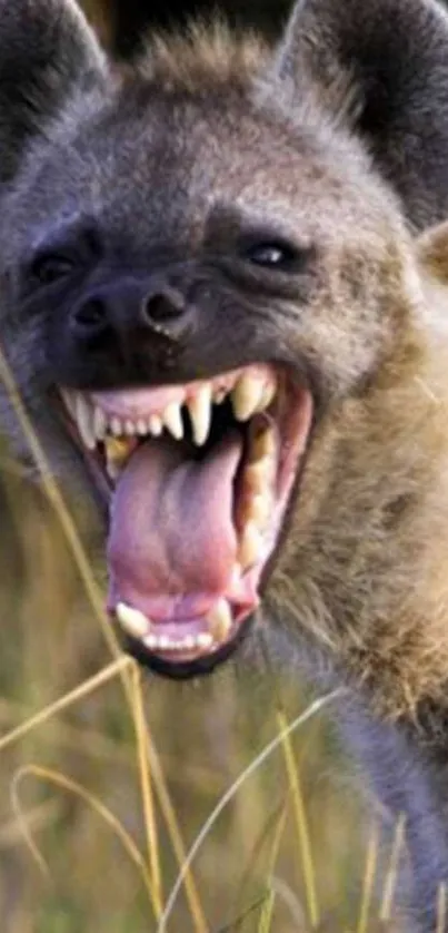 A vibrant hyena roaring in a natural setting, showcasing wild beauty.