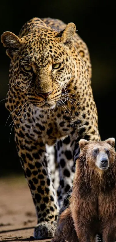 Leopard and bear on a dirt path in natural setting.