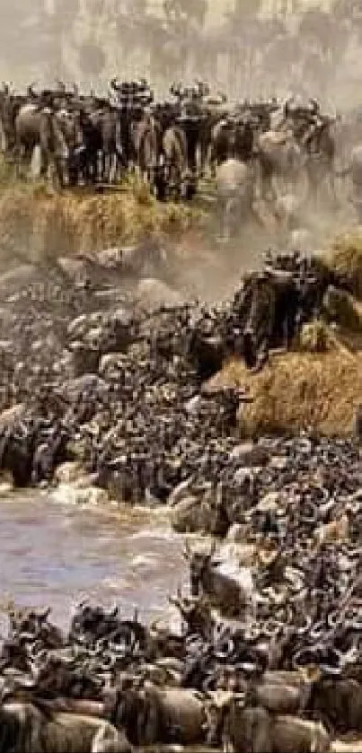 Wildebeest migration across river in stunning safari landscape.