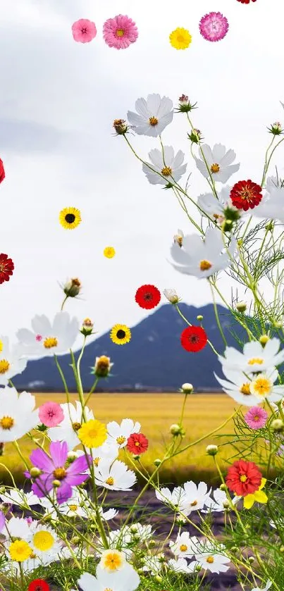 Wildflower meadow with purple and white flowers under a bright sky.