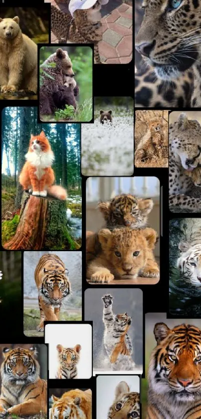 Mobile wallpaper with animal collage featuring wild cats and various wildlife.