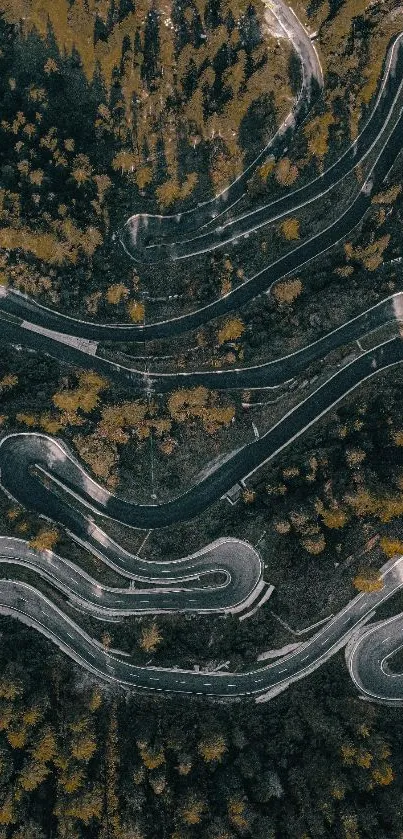 Aerial view of winding forest road with dense trees.