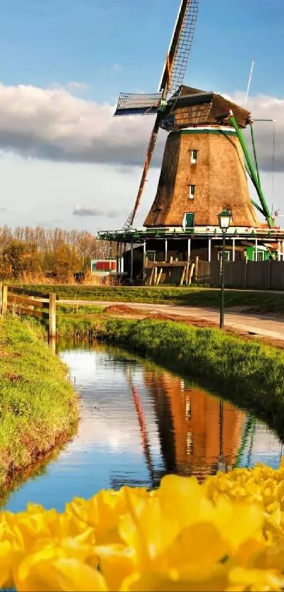 Charming Dutch windmill and tulips in springtime.