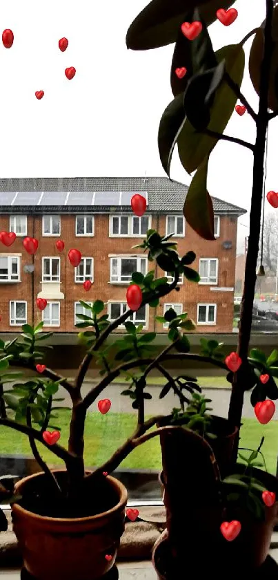 Indoor potted plants by a window overlooking a brick apartment building.